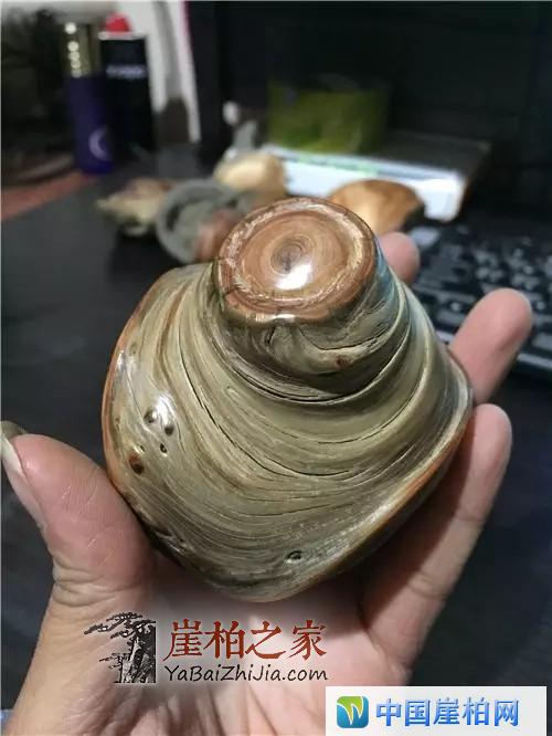 带原皮崖柏手把件