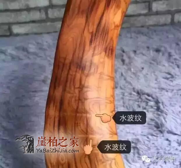 史上全的崖柏纹路分类图片 干货速藏-4