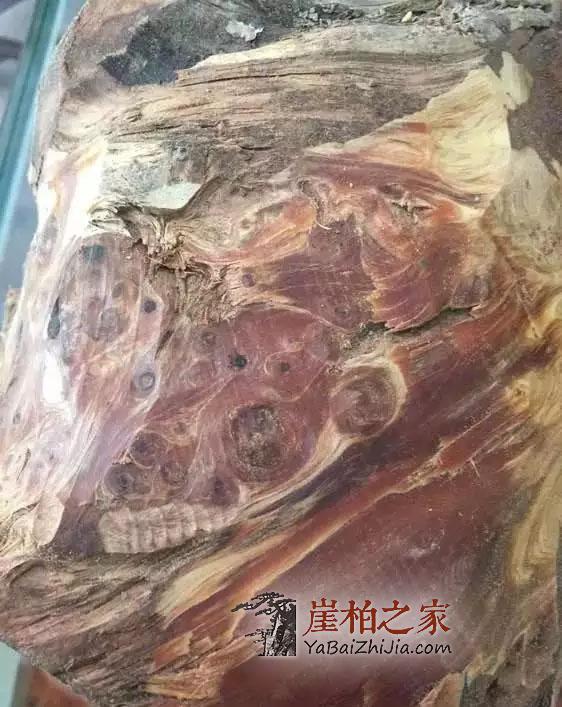 如何区分崖柏红油黑油？-5