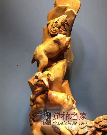 极品崖柏工艺《三羊开泰》-6