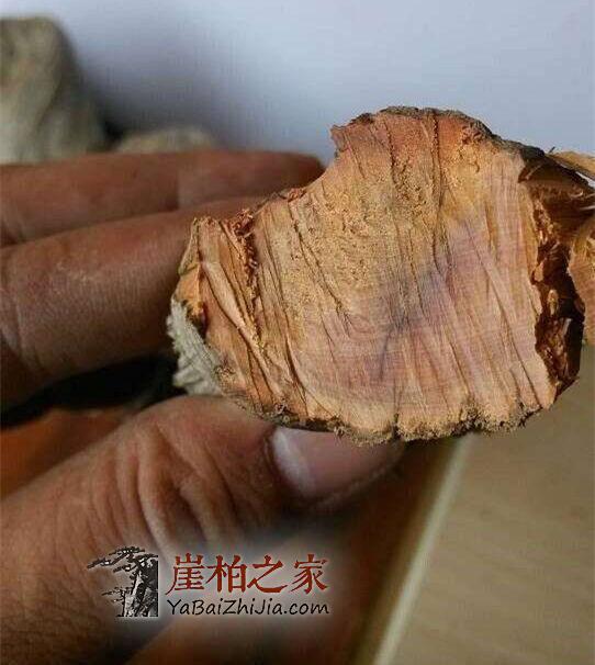 纯干货：详细介绍崖柏陈化料的特性-2