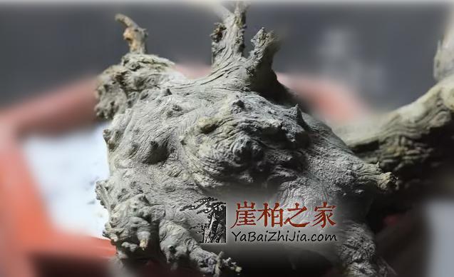 崖柏常识：崖柏火爆的几种料-7