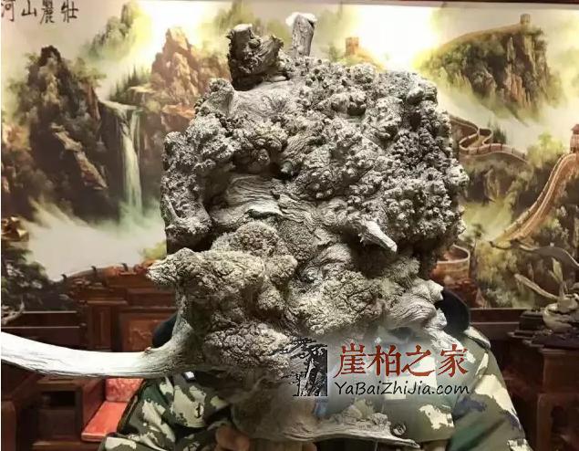 崖柏常识：崖柏火爆的几种料-8