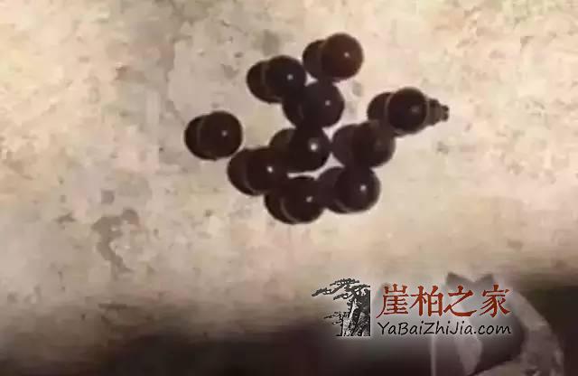 你心爱的的黑油陈化崖柏珠可能是“泡”制而成的！-4