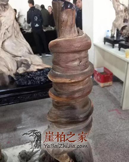 崖柏如何在木质品文玩市场中确立其霸主地位的？-3