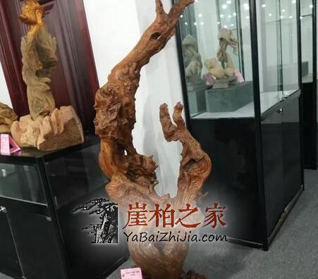 “郑州文博城崖柏展”是崖柏界以及文玩艺术品界的一场饕餮盛宴！-6