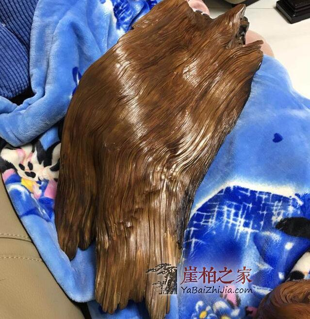 什么是崖柏雷击木？为你揭开崖柏雷击木的神秘面纱-3