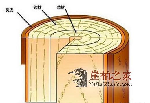 深度剖析崖柏生料老料陈化料，看完你就明白了！-1