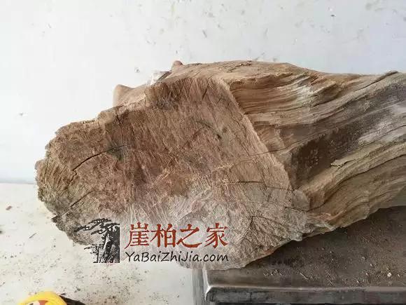 崖柏香味：悠悠崖柏香沁心-8