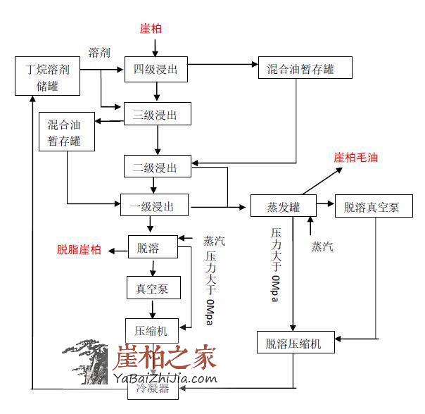 低温亚临界流体萃取崖柏精油-2