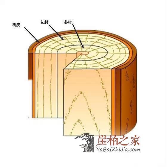 干货：关于崖柏的陈化等级-1