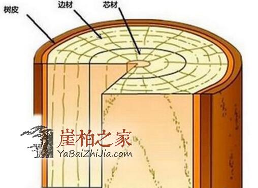 崖柏深度剖析，图解生料老料陈化料，差距很大涨知识-1