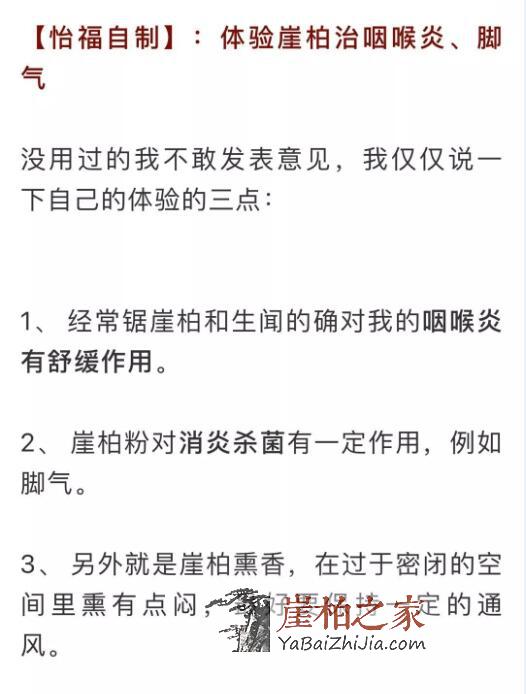 崖柏之家：喝崖柏茶治好了我的咽喉炎和你的鼻炎-4