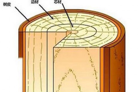 且盘且珍惜，崖柏深度剖析，图解生料老料陈化料，差距很大涨知识