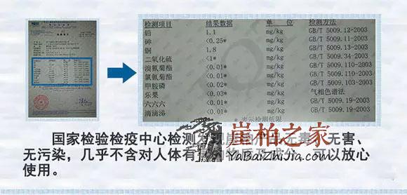 崖柏--将成为未来家庭健康、养生之王-4