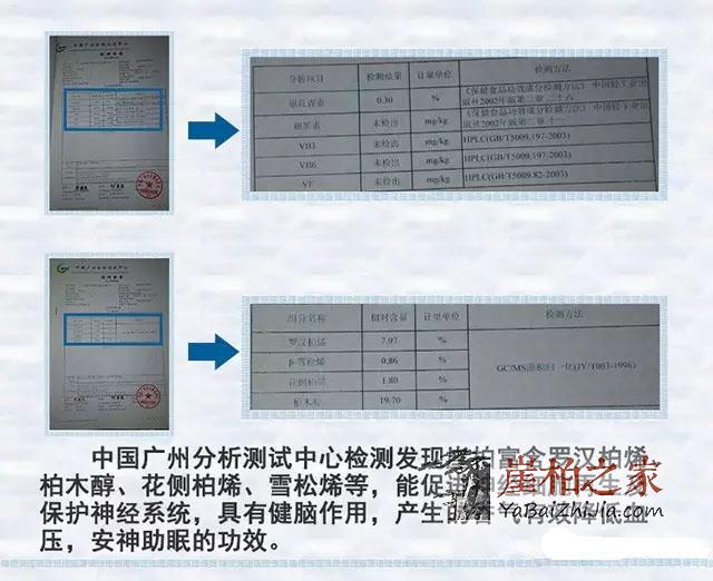 来吧来吧，崖柏吃、喝、抽、睡皆可以！-3