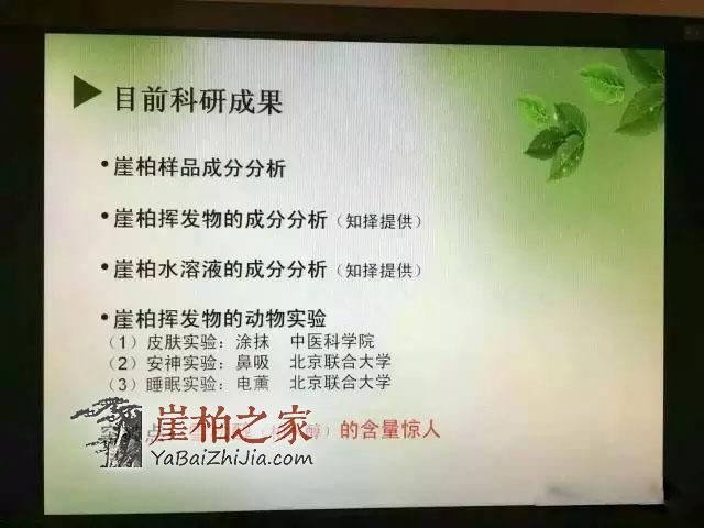 来吧来吧，崖柏吃、喝、抽、睡皆可以！-16