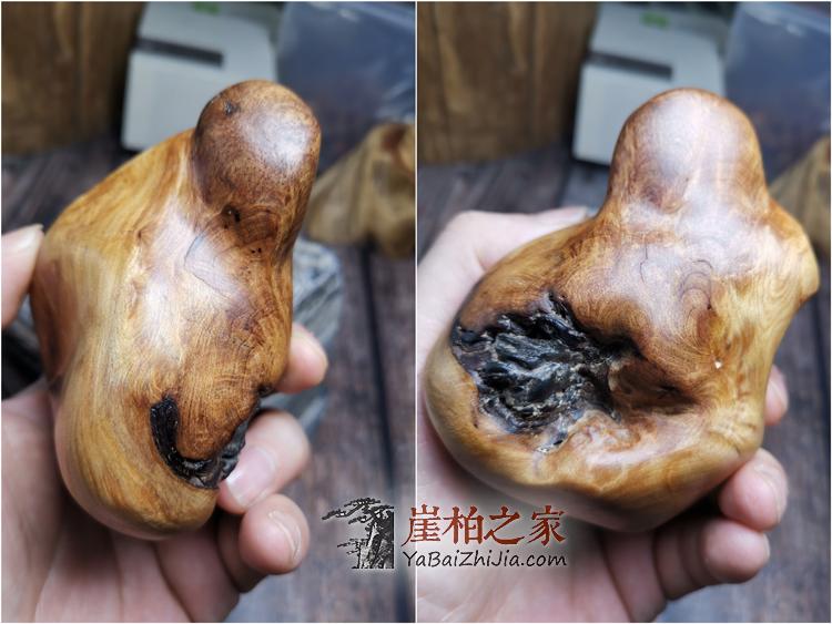 太行崖柏黑油满瘤疤虎皮纹手把件陈化龙胆把玩件茶宠木雕-39